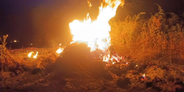 Bursa'da otluk alanda çıkan yangın ormana sıçradı