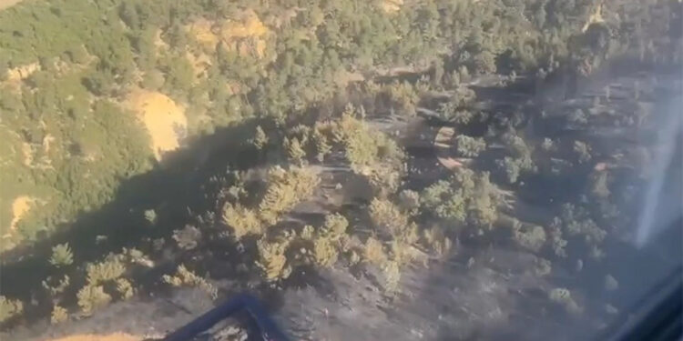 Bursa'daki orman yangını 23 saat sonra kontrol altına alındı