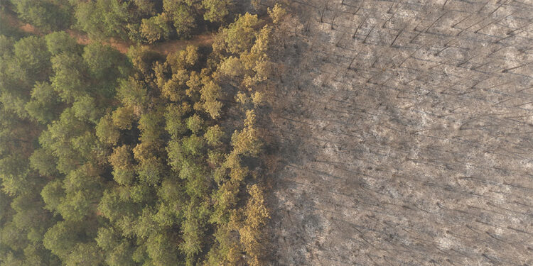 Orhaneli-Harmancık yangını henüz söndürülemedi