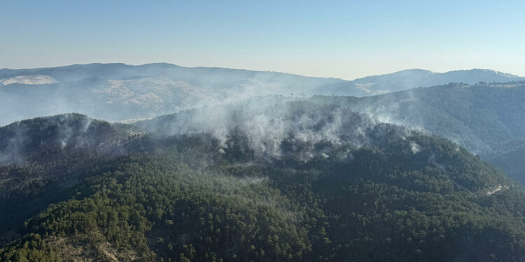 Balıkesir'deki orman yangını 2'nci günde sürüyor