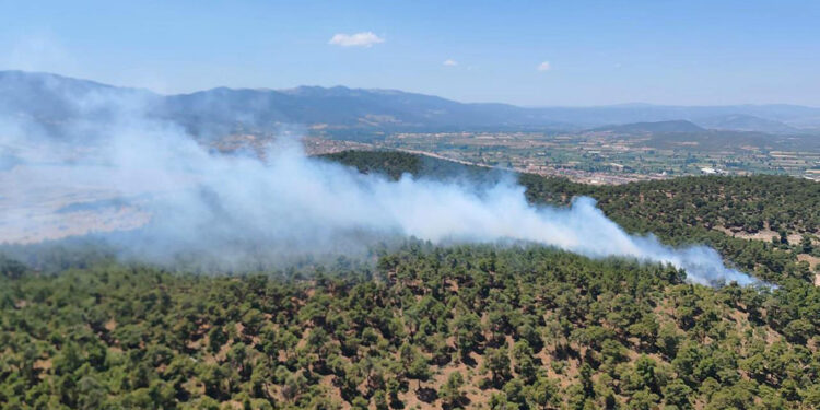 Balıkesir'deki orman yangını 2'nci gününde