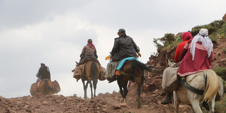 Berivanların yaylaya atlı yolculuğu