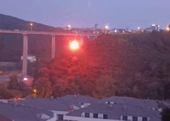 Beykoz'daki orman yangınına ilişkin 1 şüpheli gözaltına alındı