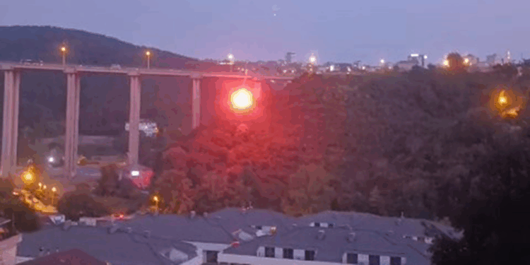 Beykoz'daki orman yangınına ilişkin 1 şüpheli gözaltına alındı 