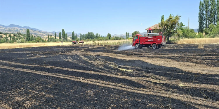 Biçerdöver kaynaklı yangında 2,5 dekar ekili buğday yandı