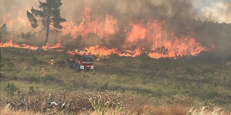 Bilecik'in Vezirhan beldesinde orman yangını