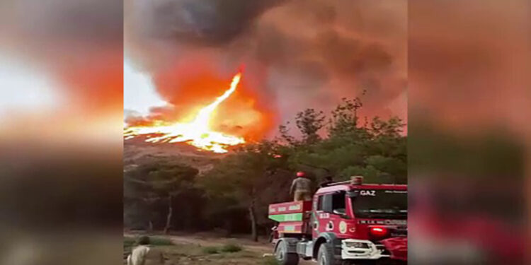 Bilecik'teki orman yangınında ateş hortumu oluştu