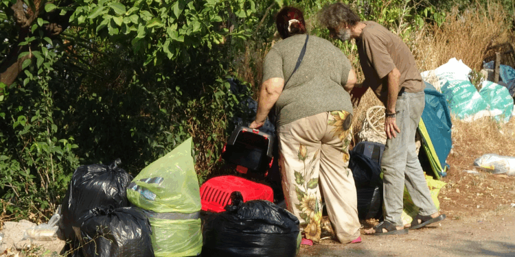 Boşaltılan evde hasta 5 kedi daha kurtarıldı