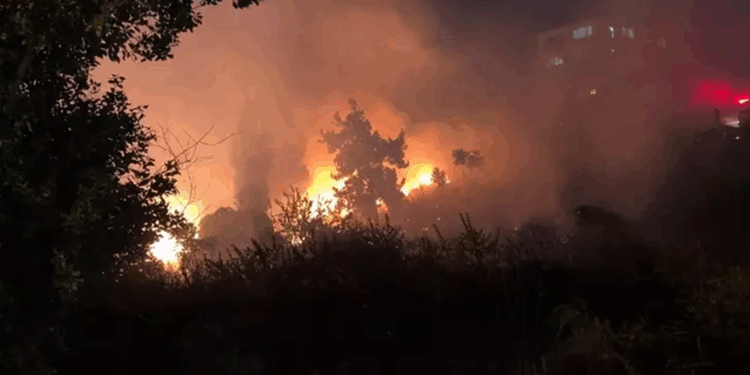 Bursa'da havai fişekten çıkan yangında 4 gözaltı