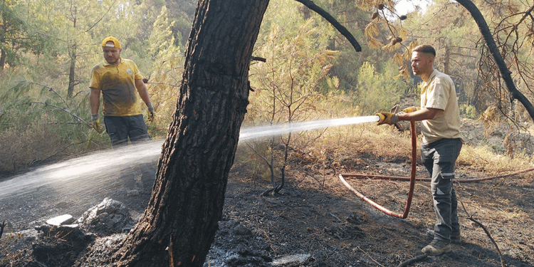 Bursa'da orman yangınları 3'üncü gününde