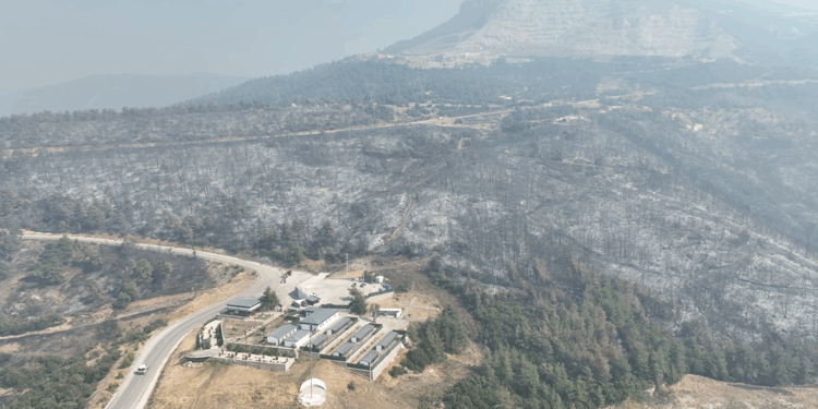 Bursa'da yanan ormanlar dronla görüntülendi