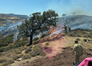 Çanakkale'nin Ayvacık ilçesinde maki yangını!