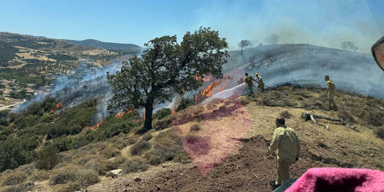 Çanakkale'nin Ayvacık ilçesinde maki yangını!