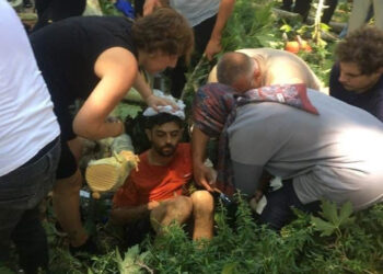 Çınar ağacının kırılan dalının altında kalan öğretmenin öldüğü olay kamerada