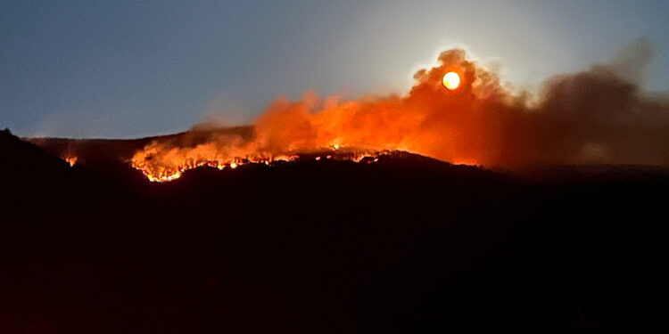 Çankırı'da çıkan orman yangınına müdahale sürüyor