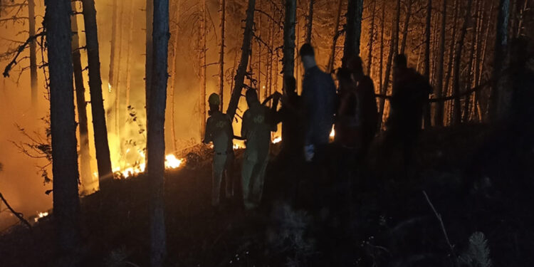 Çankırı'daki orman yangını kısmen kontrol altında