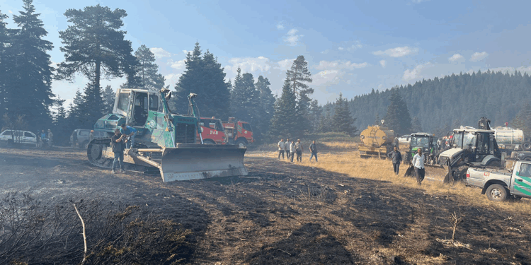Çankırı'daki orman yangını kontrol altında