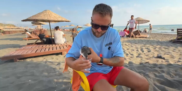 Cankurtaran, nesli tehlike altındaki yelkovan kuşunu kurtardı