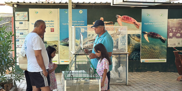 Caretta caretta müzesine ilgi