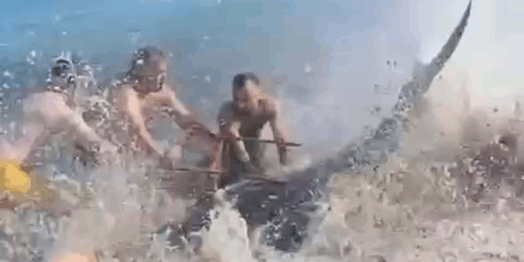 Çeşme'de kıyıya vuran orkinoslar için inceleme