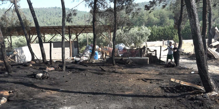 Çiftliğinde çıkan yangında 95 hayvanı öldü