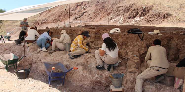 Çorakyerler Omurgalı Fosil Lokalitesi'nde 2025 kazıları başladı