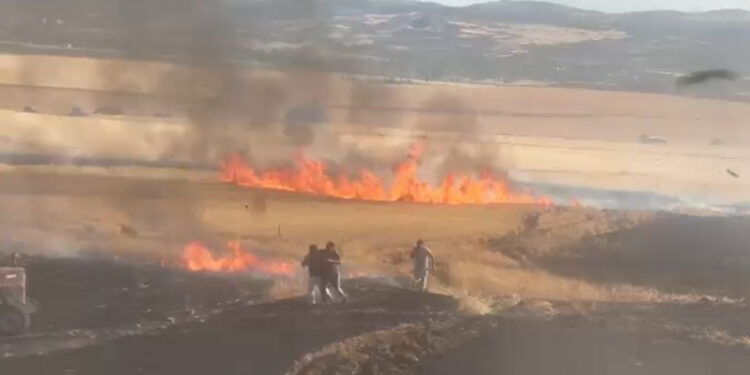 Çorum'da buğday tarlasındaki yangında 30 dönüm alan zarar gördü