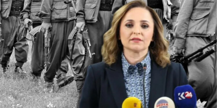 DEM Parti'den PKK'nın silahla bırakma adımı ile ilgili açıklama