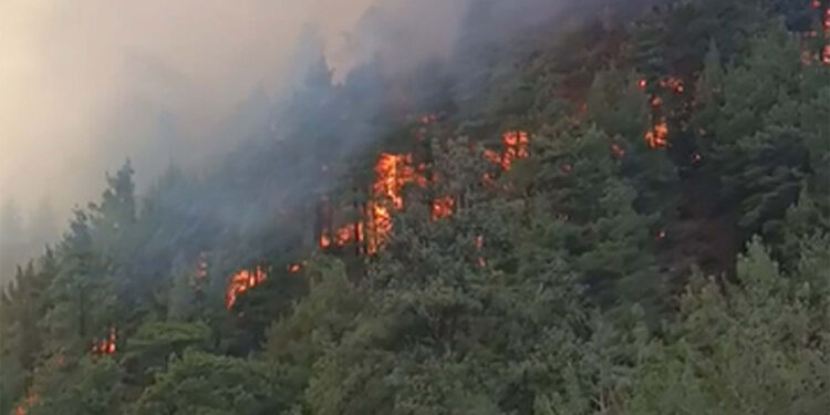 Tarım arazisinde çıkıp ormana sıçrayan yangın 3 saatte kontrol altına alındı