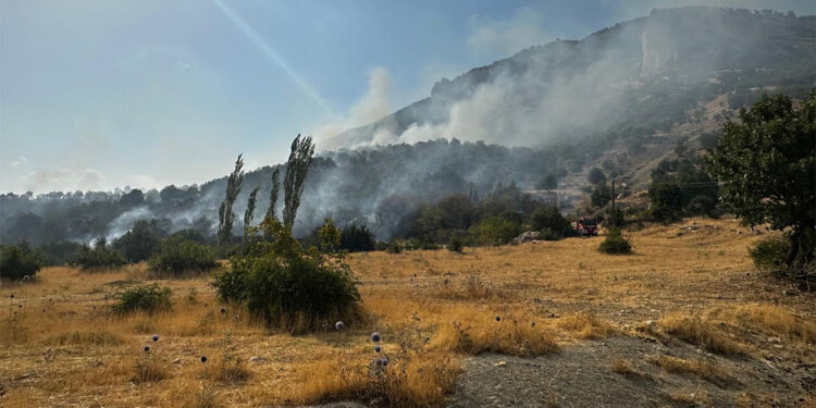 Lice'de örtü yangını