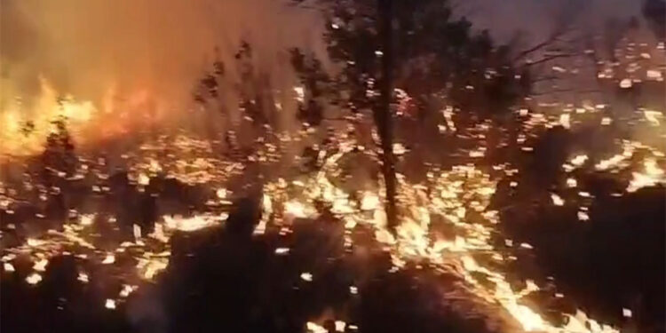 Diyarbakır'da örtü yangınları söndürüldü