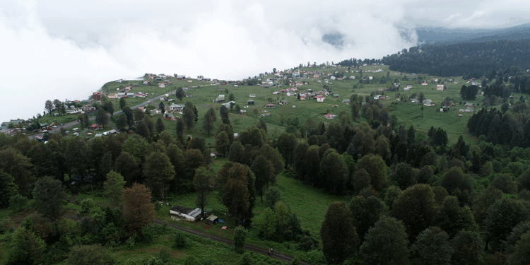Doğu Karadeniz'de sıcaktan bunalanların göçü başladı