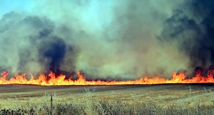 Edirne'de anız yangını; kara yolu kapatıldı