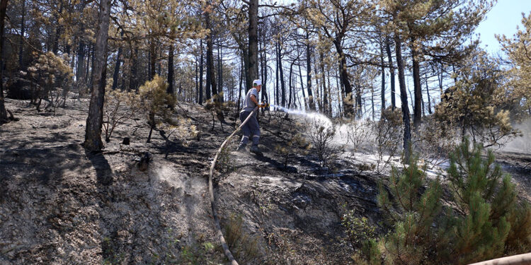 10 şehit verdiğimiz orman yangını kontrol altına alındı