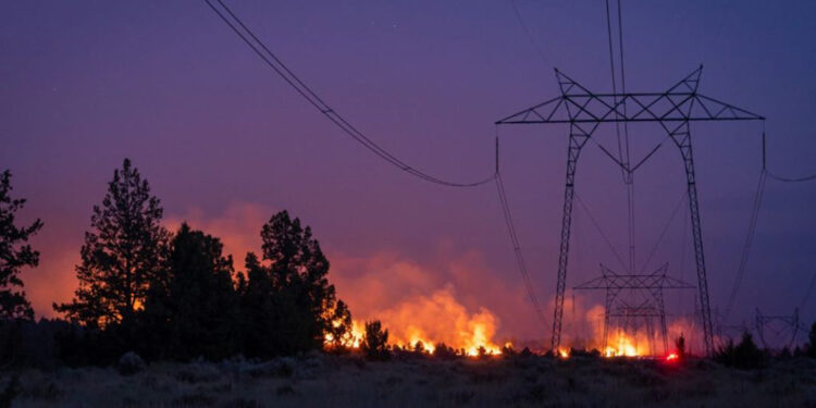 Elektrik kaynaklı orman yangınları oranı yüzde 5'ten az