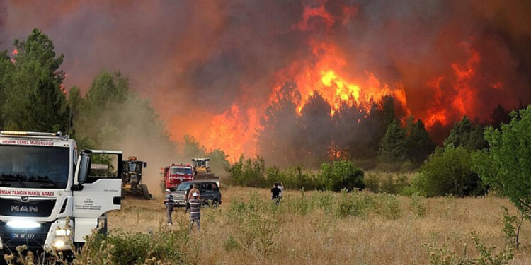 Eskişehir'deki orman yangınında 10 şehit oldu