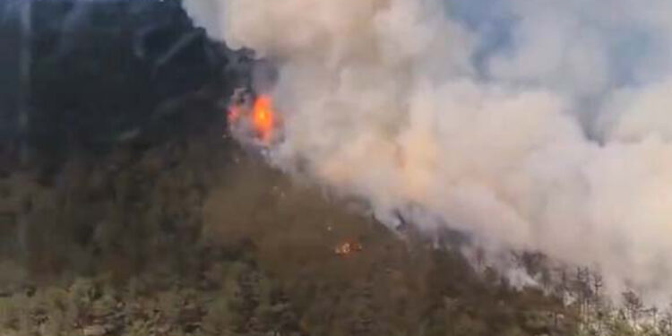 Eskişehir'in Seyitgazi ilçesinde orman yangını