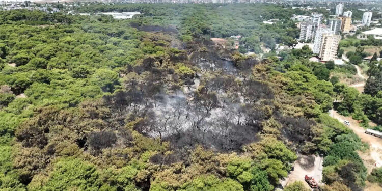  Lara gelini'de yangından etkilendi