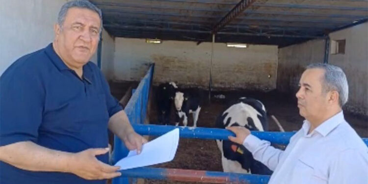 Yem ithal, hayvan ithal, çoban ithal, et ithal ve aşı ithal