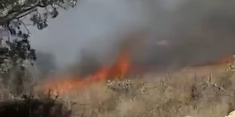 Gabar Dağı'nda orman yangını çıktı