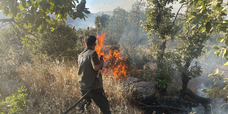 Gabar Dağı'ndaki orman yangını 11 saatte kontrol altında