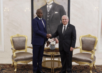 Gabon Cumhurbaşkanı Nguema, Türkiye'de