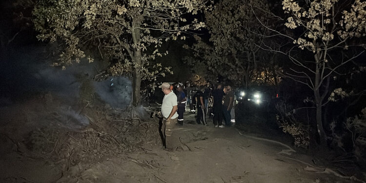 Gebze'de orman yangını 3 saatte söndürüldü