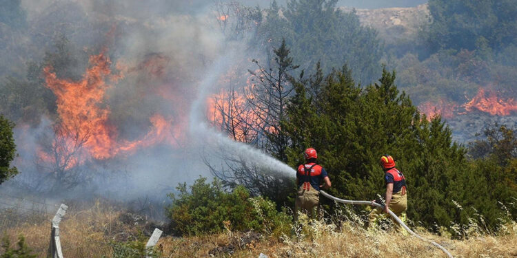 Geçen yıl İzmir'in kuzeyi, bu yıl batısı yangına teslim oldu
