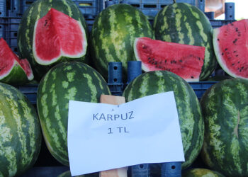 Karpuzun kilosu halde 1 TL, markette 14 TL