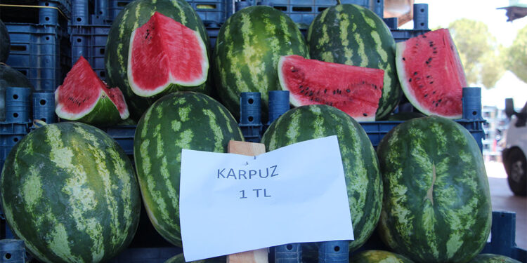 Karpuzun kilosu halde 1 TL, markette 14 TL