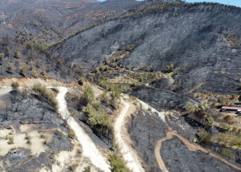 Hatay'da yanan alanlar havadan görüntülendi