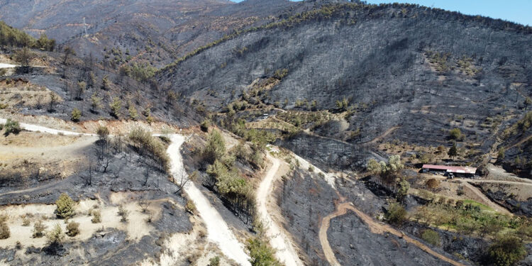 Hatay'da yanan alanlar havadan görüntülendi