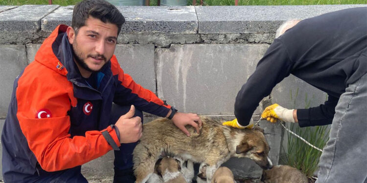 Havalandırma boşluğunda mahsur kalan 6 köpek yavrusu kurtarıldı
