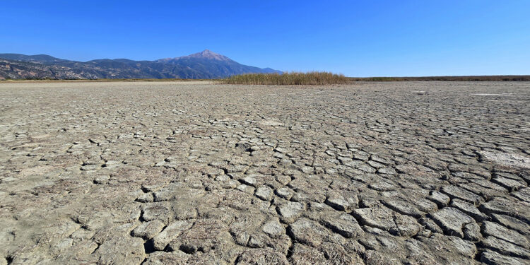 Hatay’daki Milleyha Kuş Cenneti kurudu
